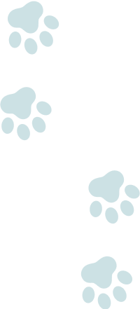 猫足跡画像逆向き